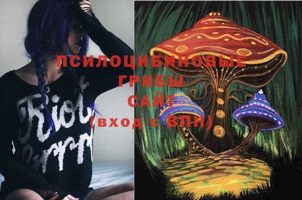 jwh Алзамай