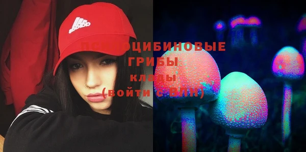 стафф Алексеевка