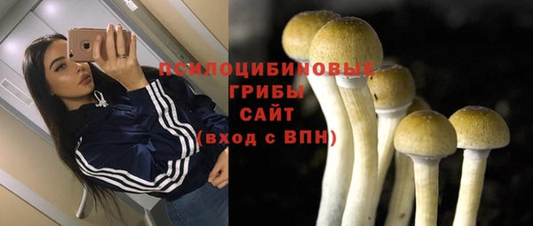 стафф Алексеевка